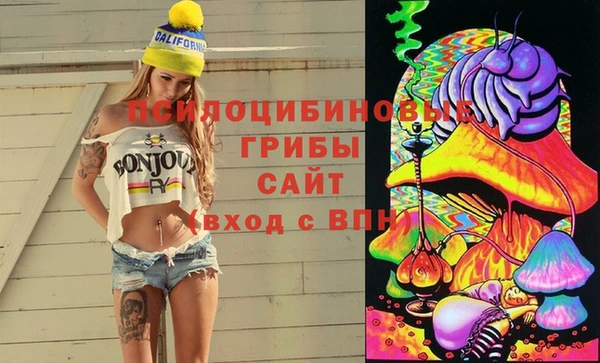 прущая мука Армянск