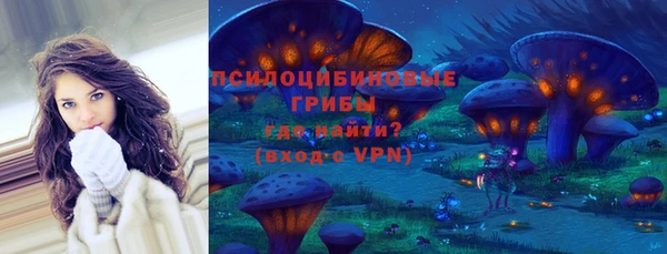 прущий лед Алексеевка