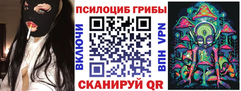 Псилоцибиновые грибы Psilocybe  купить наркоту  Калязин 